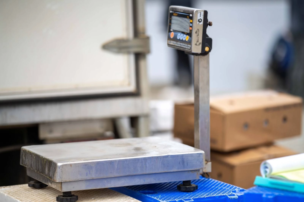 What Is Platform Scale